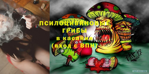 стафф Майский