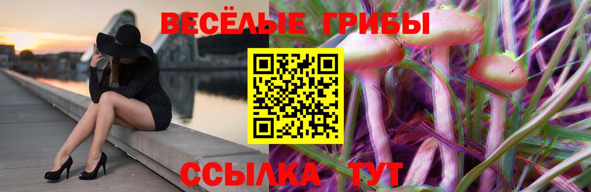Псилоцибиновые грибы мицелий Менделеевск